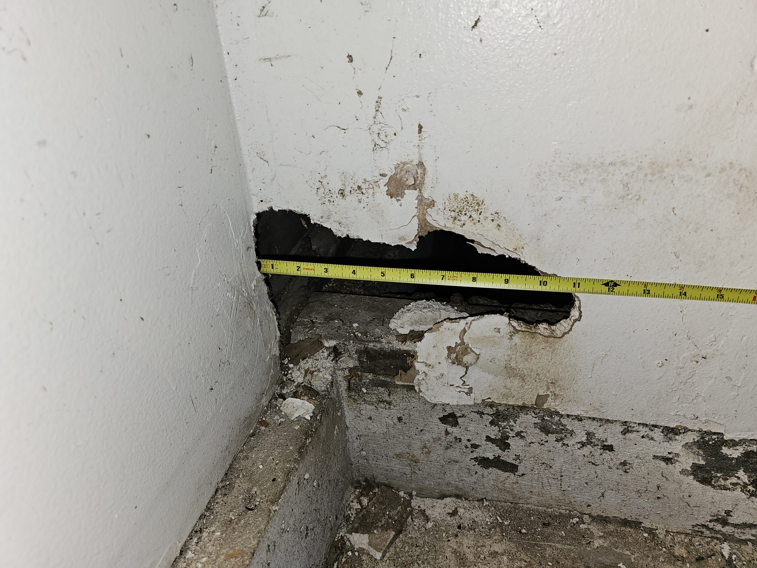 đ Why Sealing Interior Holes Doesnât Stop Rodents â And What Actually Works