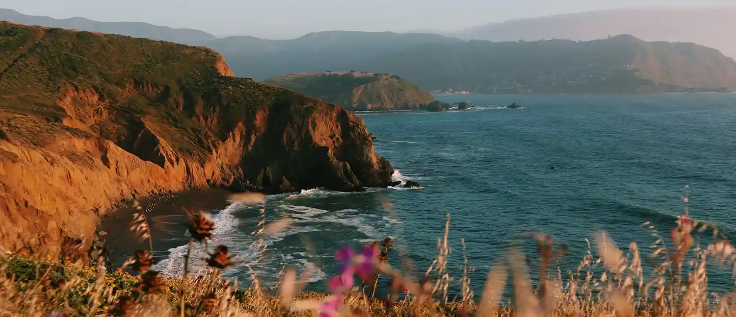 Got Rodents in San Mateo County? Yeah, You’re Not Alone