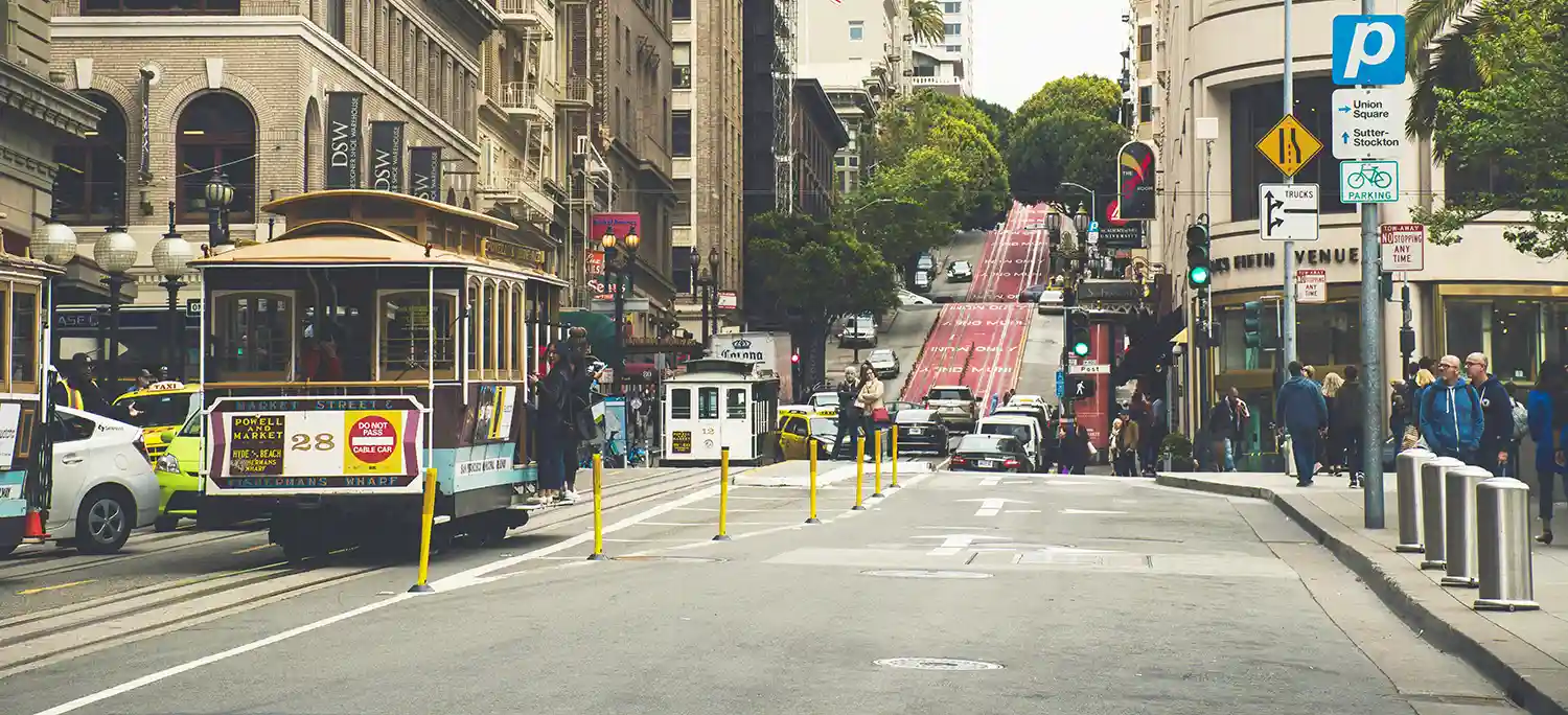 Old Pipes, New Problems: Rodents in the City by the Bay