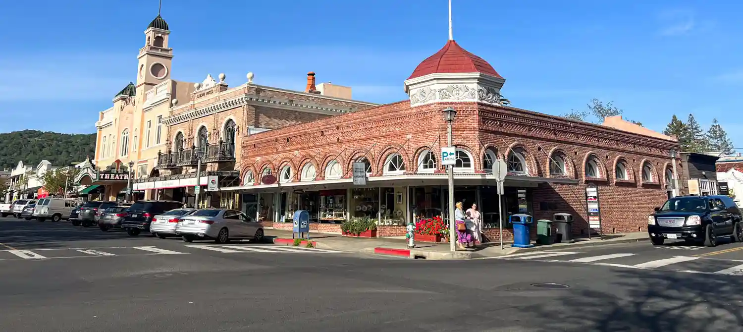 Sonoma County Rodent Problems: Rats in Wine Country? Say It Ain’t So